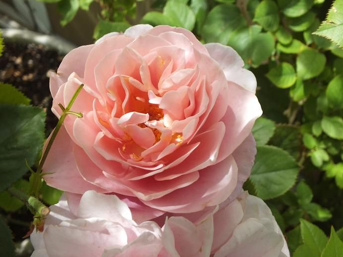  photo distant_zps9803559e.jpg